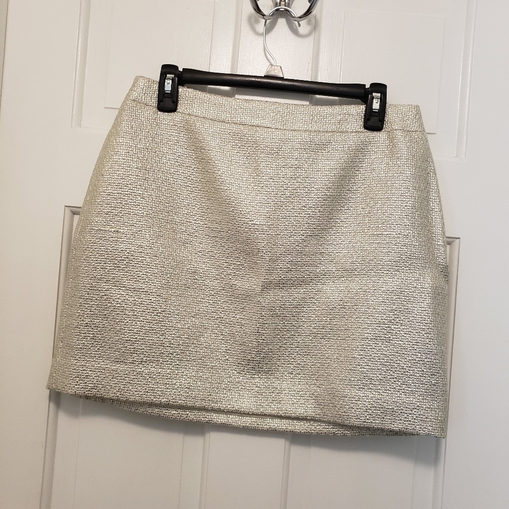 NWT Banana Republic Metallic Mini Skirt Size 10, Stylish, Chic